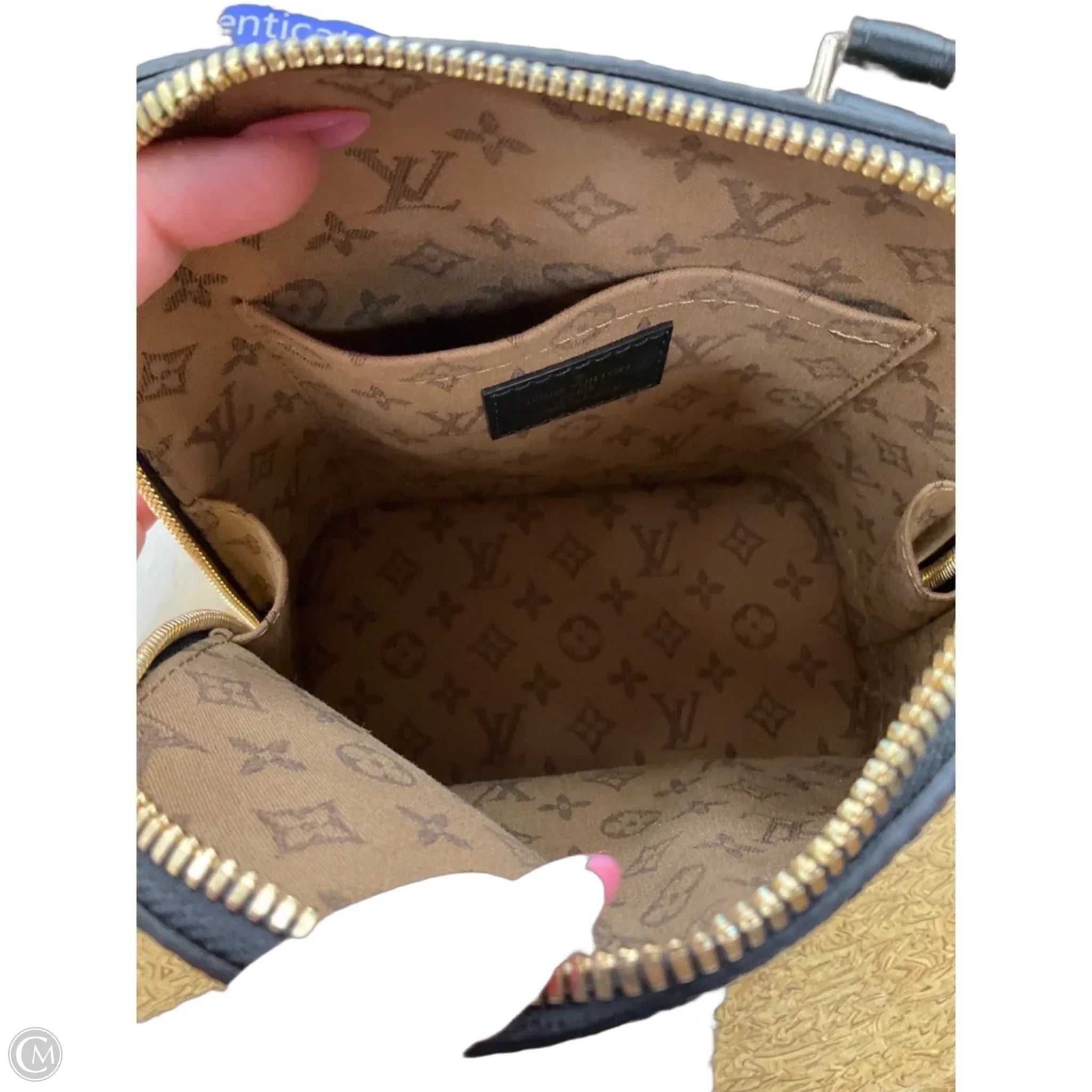 Backpack Luxury Designer By Louis Vuitton, Size: Small