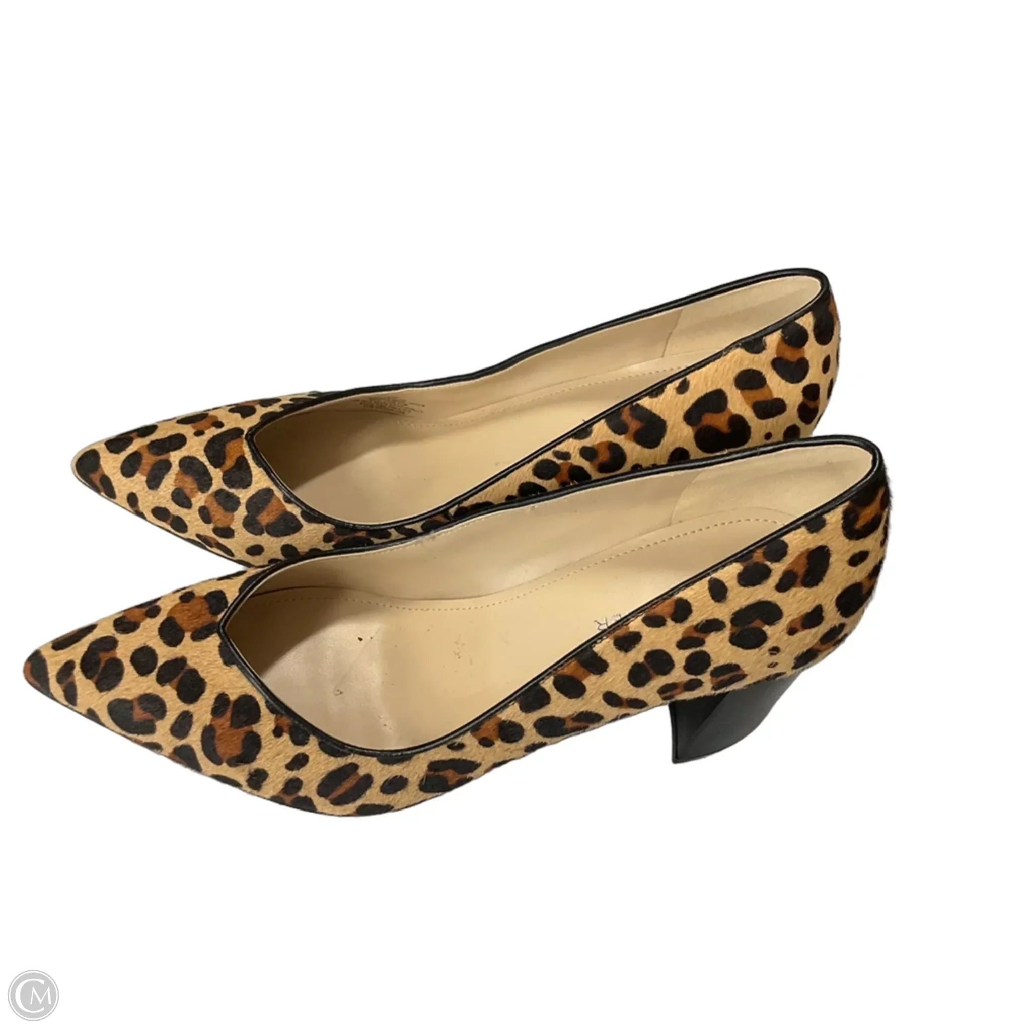 Shoes Heels Block By Marc Fisher In Animal Print, Size: 8.5