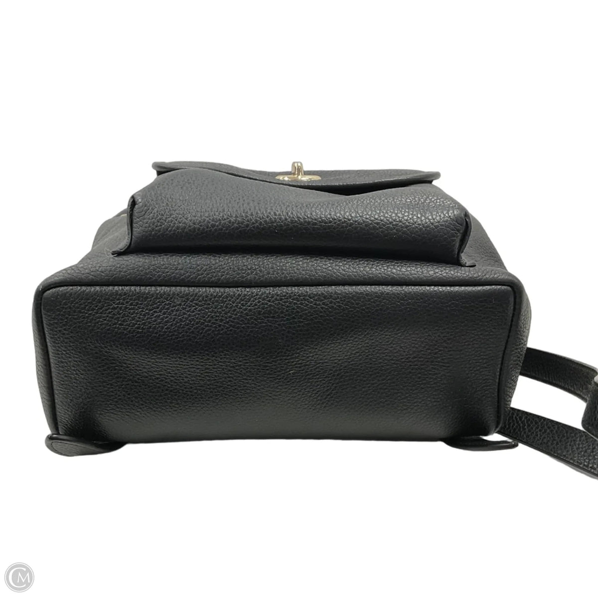 Backpack Designer By Coach, Size: Small