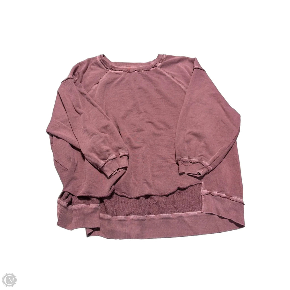 Top Long Sleeve By Free People In Purple, Size: S