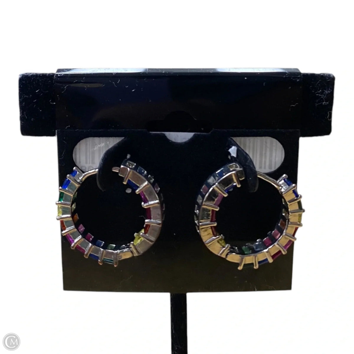 Earrings Hoop