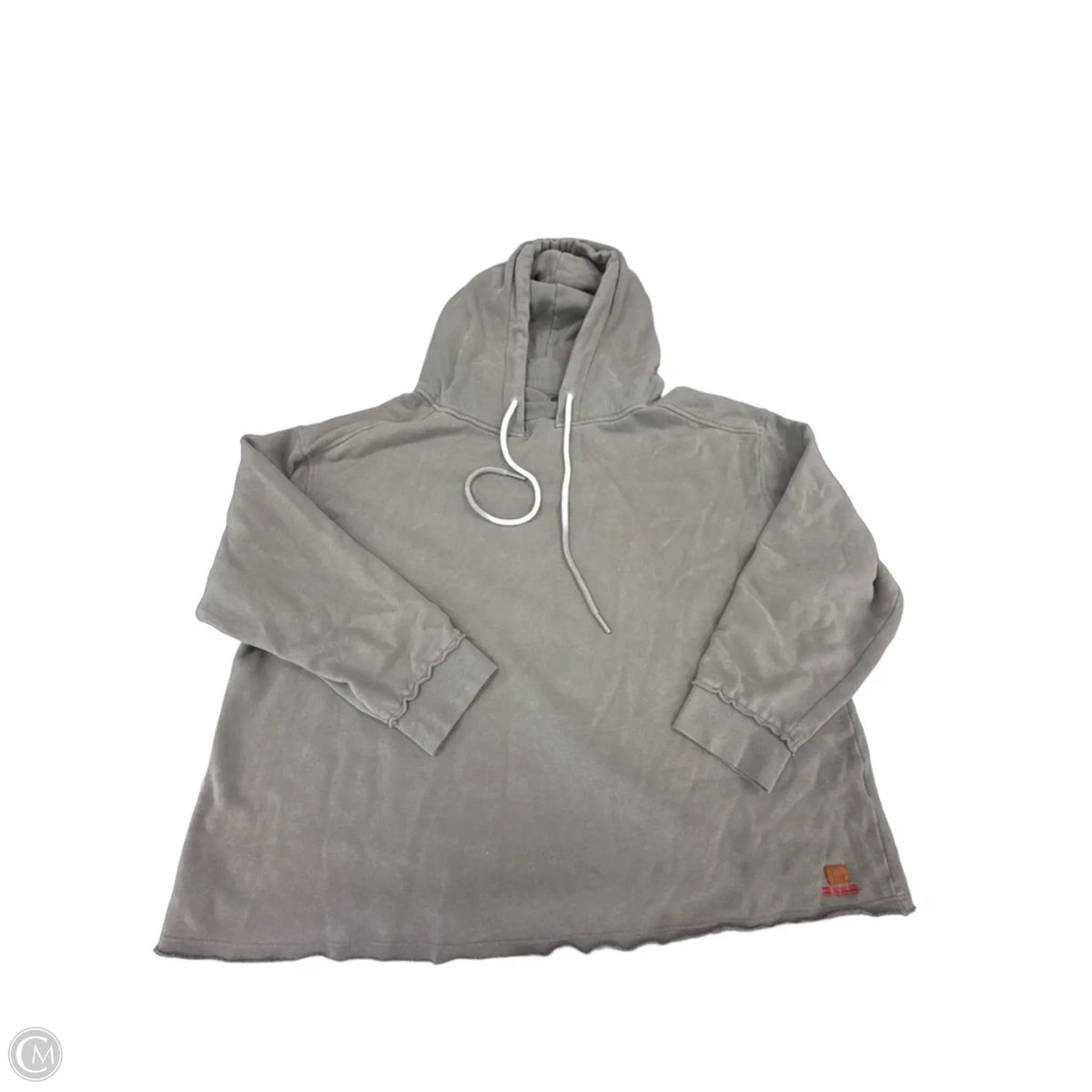 Sweatshirt Hoodie By Peace Love World In Grey, Size: 1x