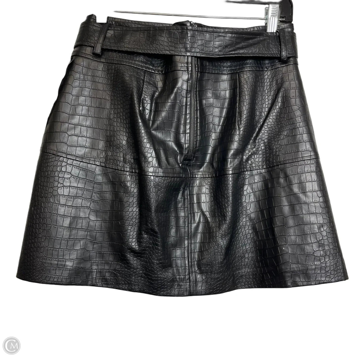 Skirt Mini & Short By Allison In Black, Size: M