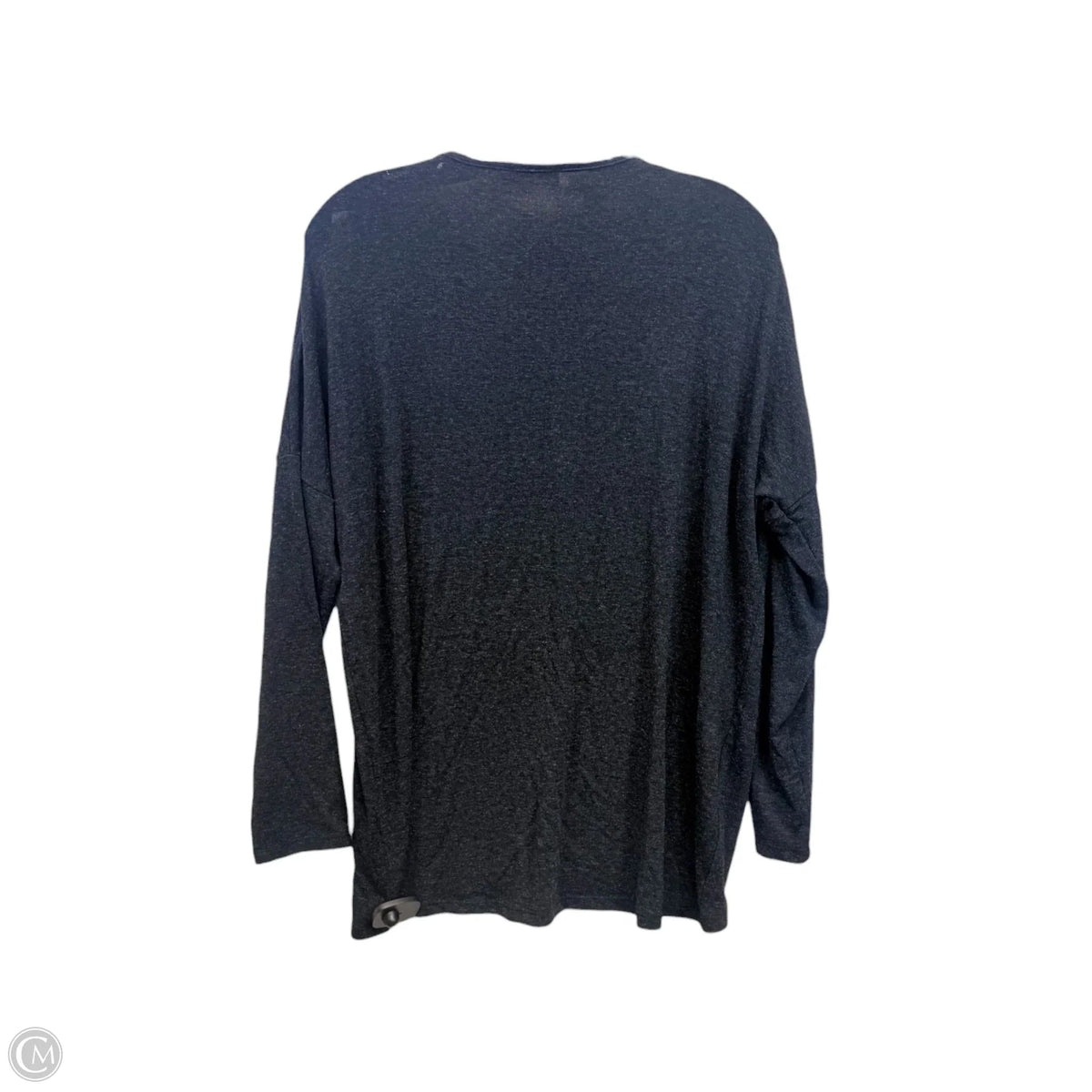 Top Long Sleeve By Boutique + In Grey & Tan, Size: L