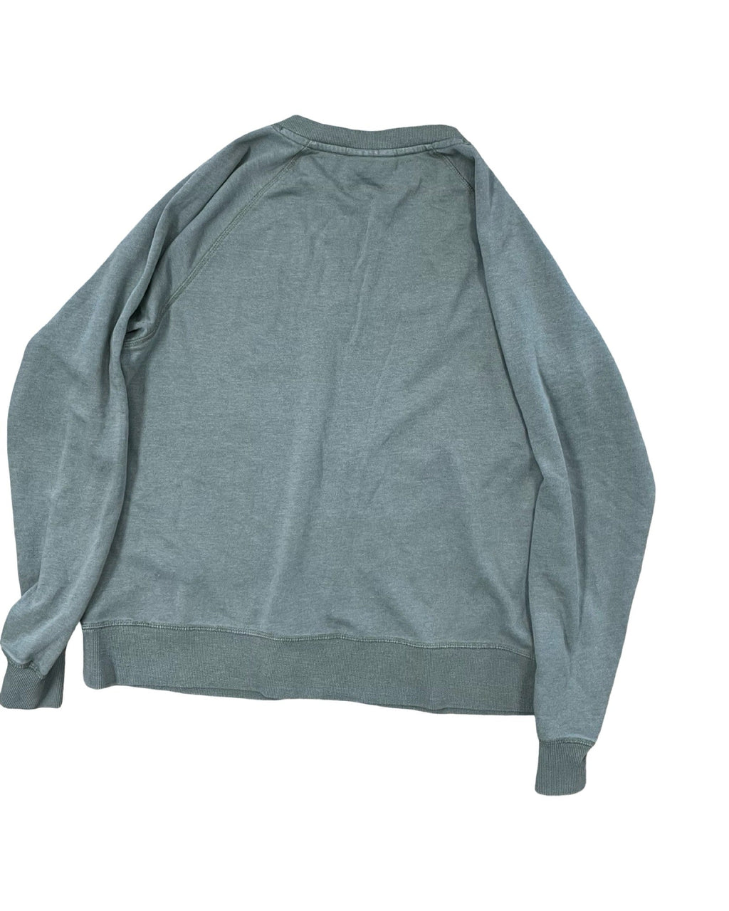 Sweatshirt Crewneck By Ariat In Green, Size:M