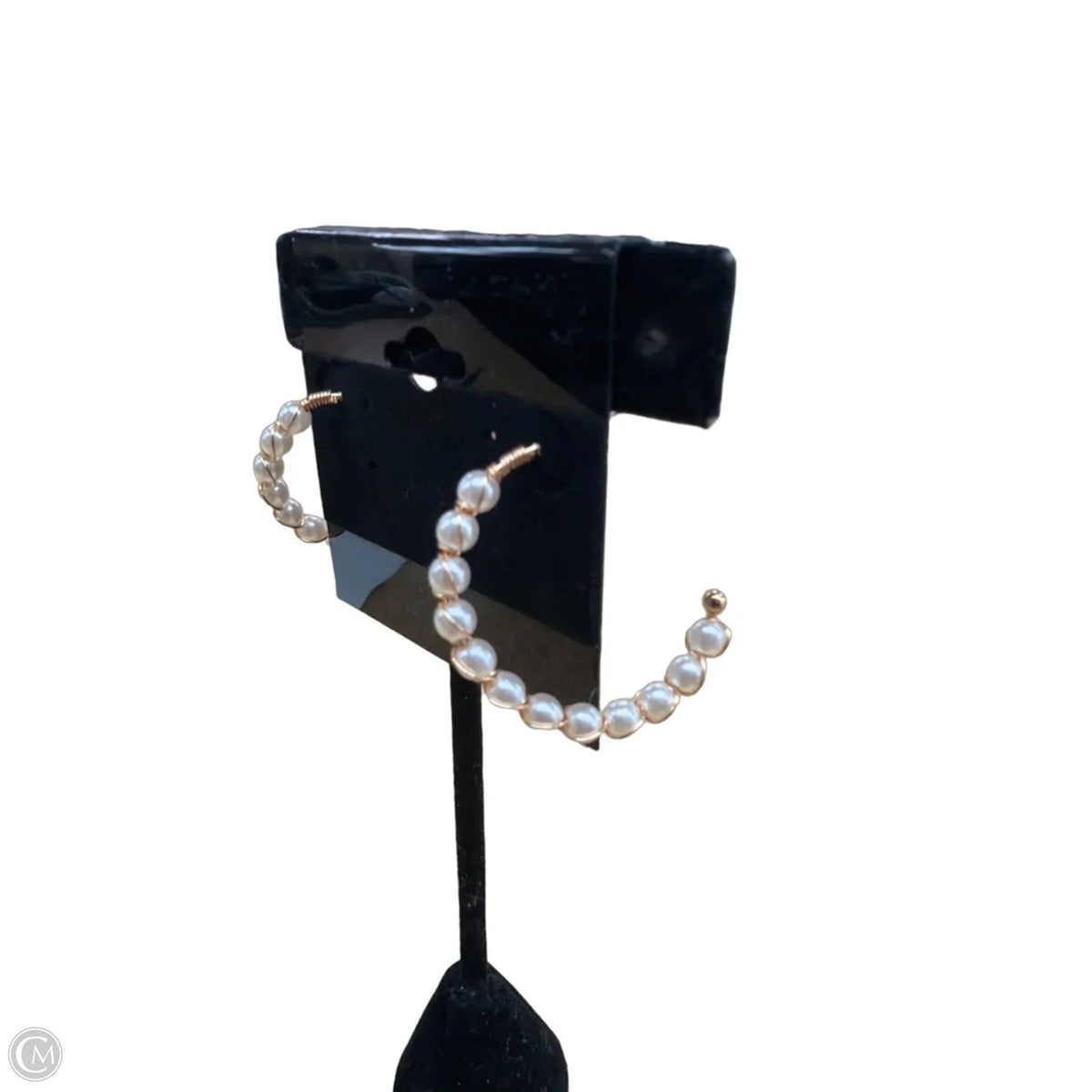 Earrings Hoop By Wild Fable