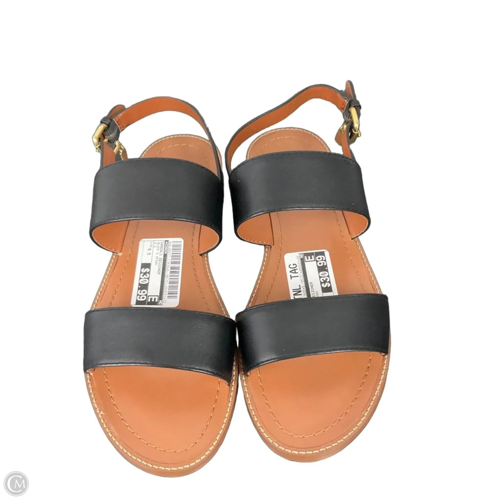 Sandals Designer By Coach In Black & Brown, Size: 9.5