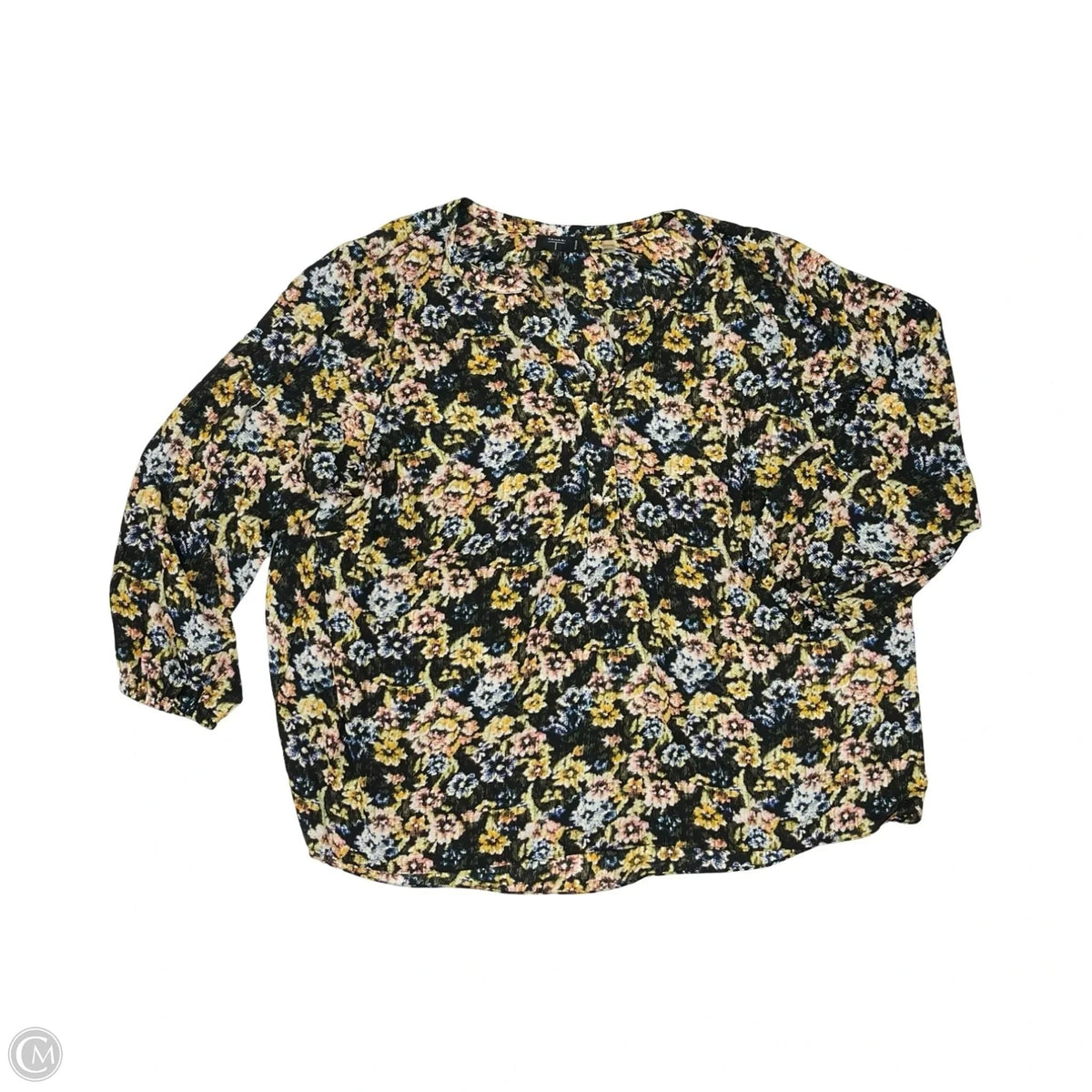 Blouse Long Sleeve By Tahari In Black, Size: 3x