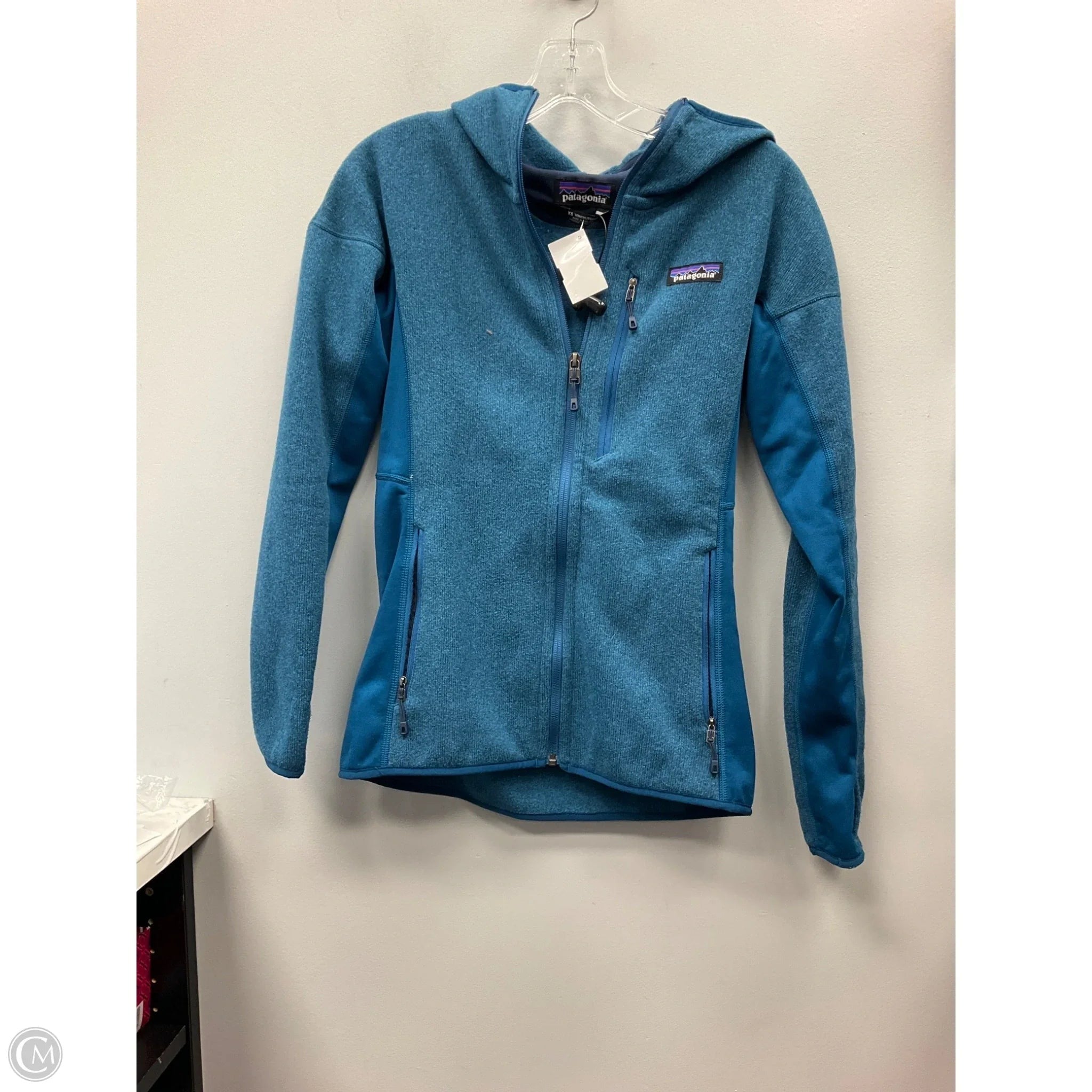 Sweatshirt Hoodie By Patagonia In Blue, Size: Xs