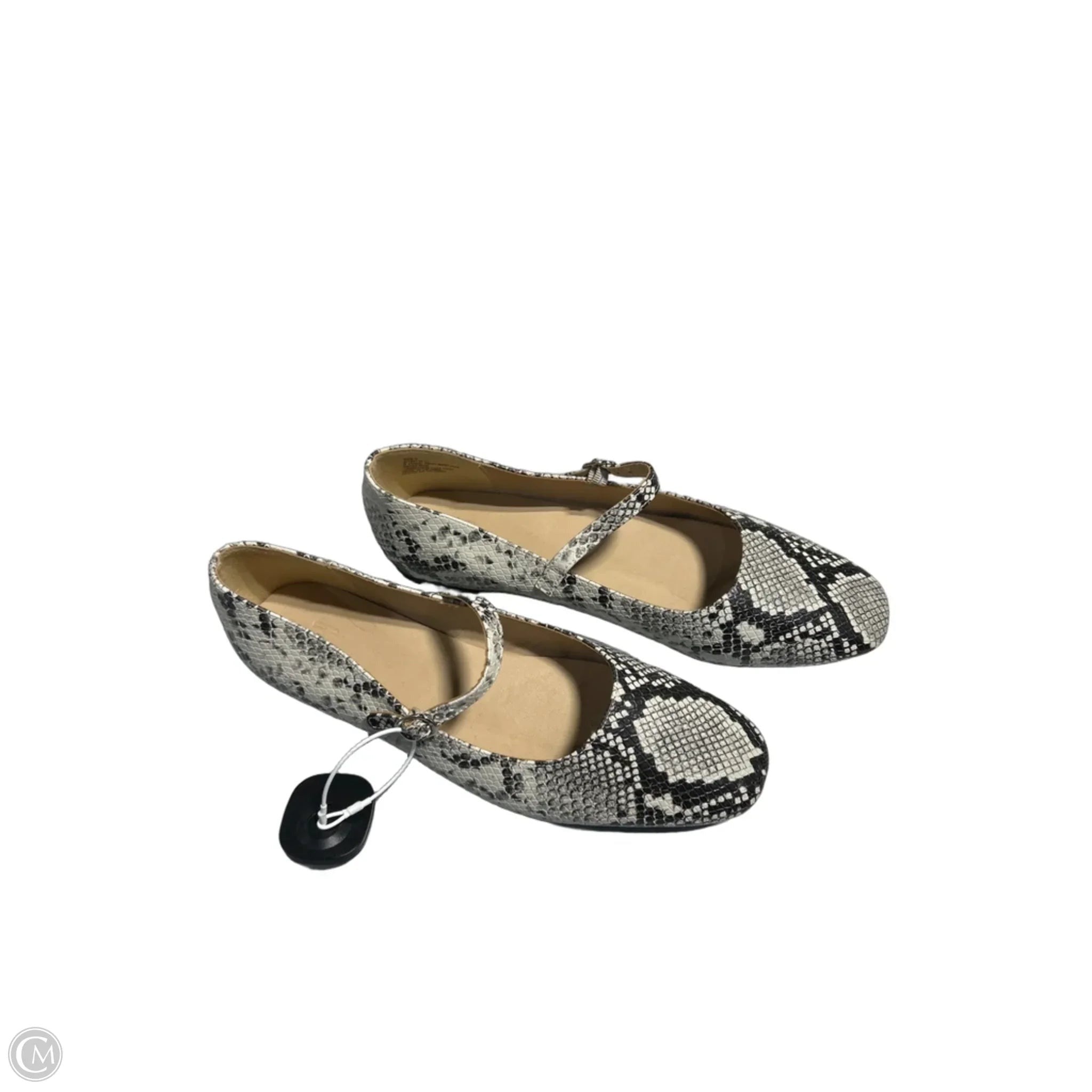 Shoes Flats By Gap In Animal Print, Size: 9