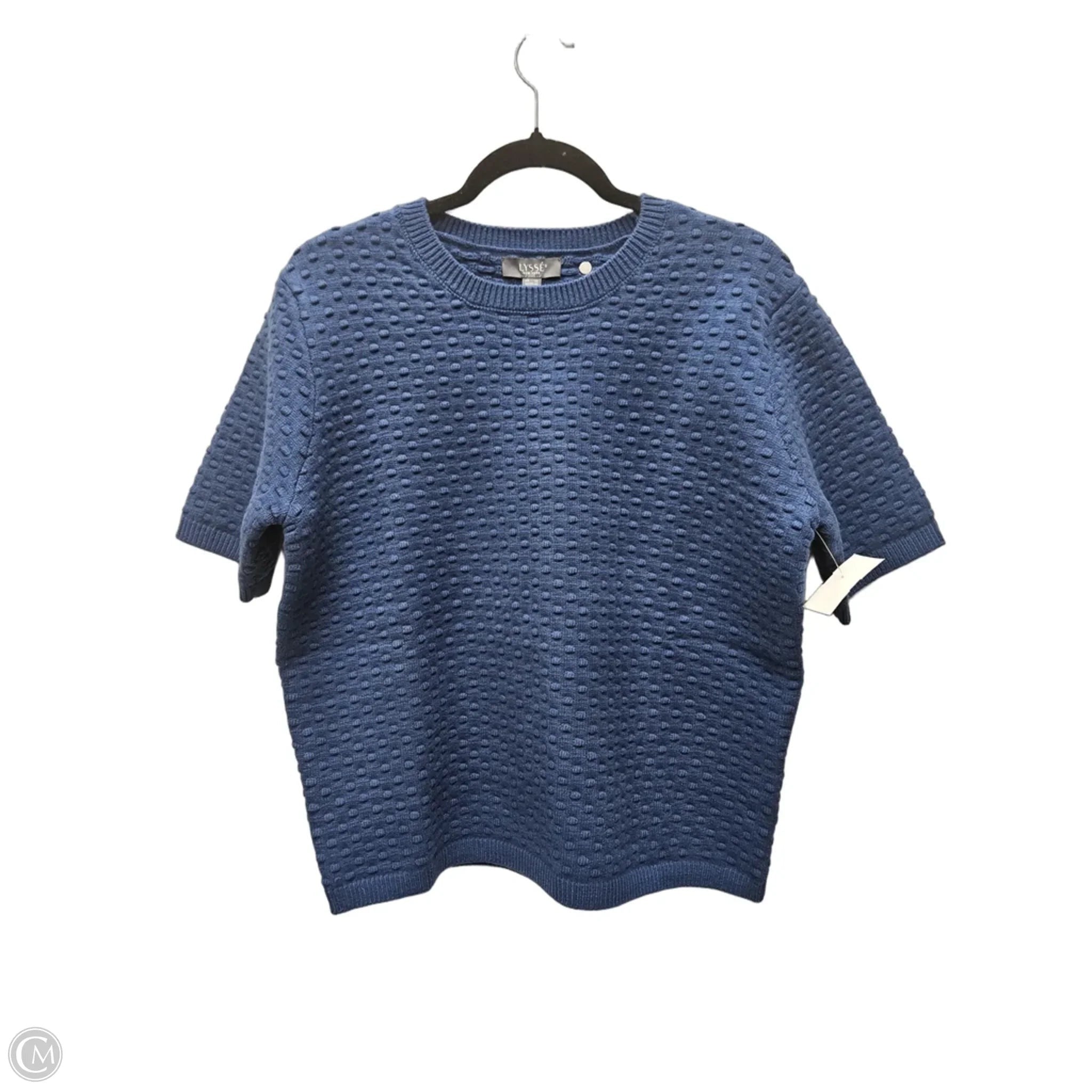 Sweater Short Sleeve By Lysse In Blue, Size: Xl