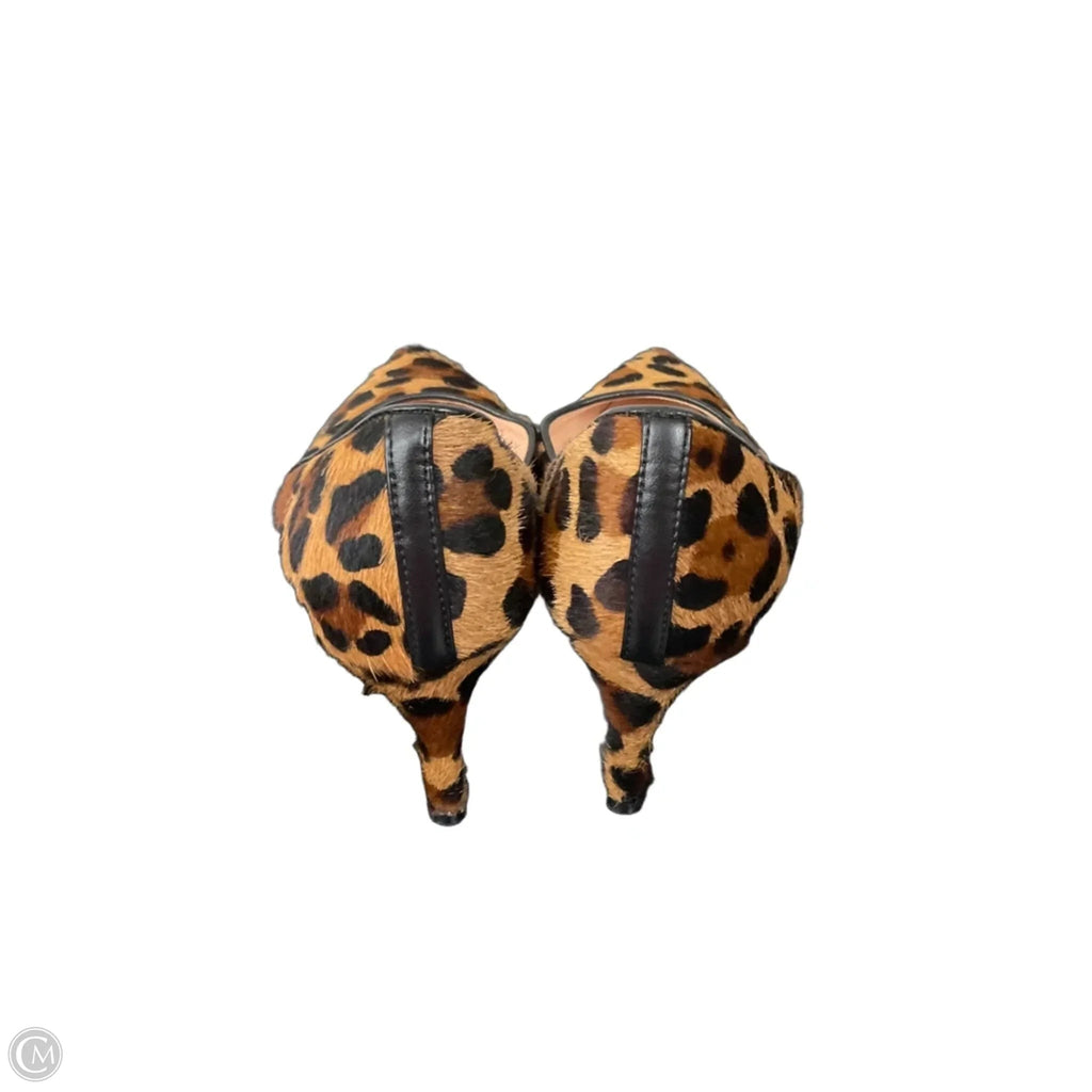 Shoes Heels Kitten By J. Crew In Animal Print, Size: 6