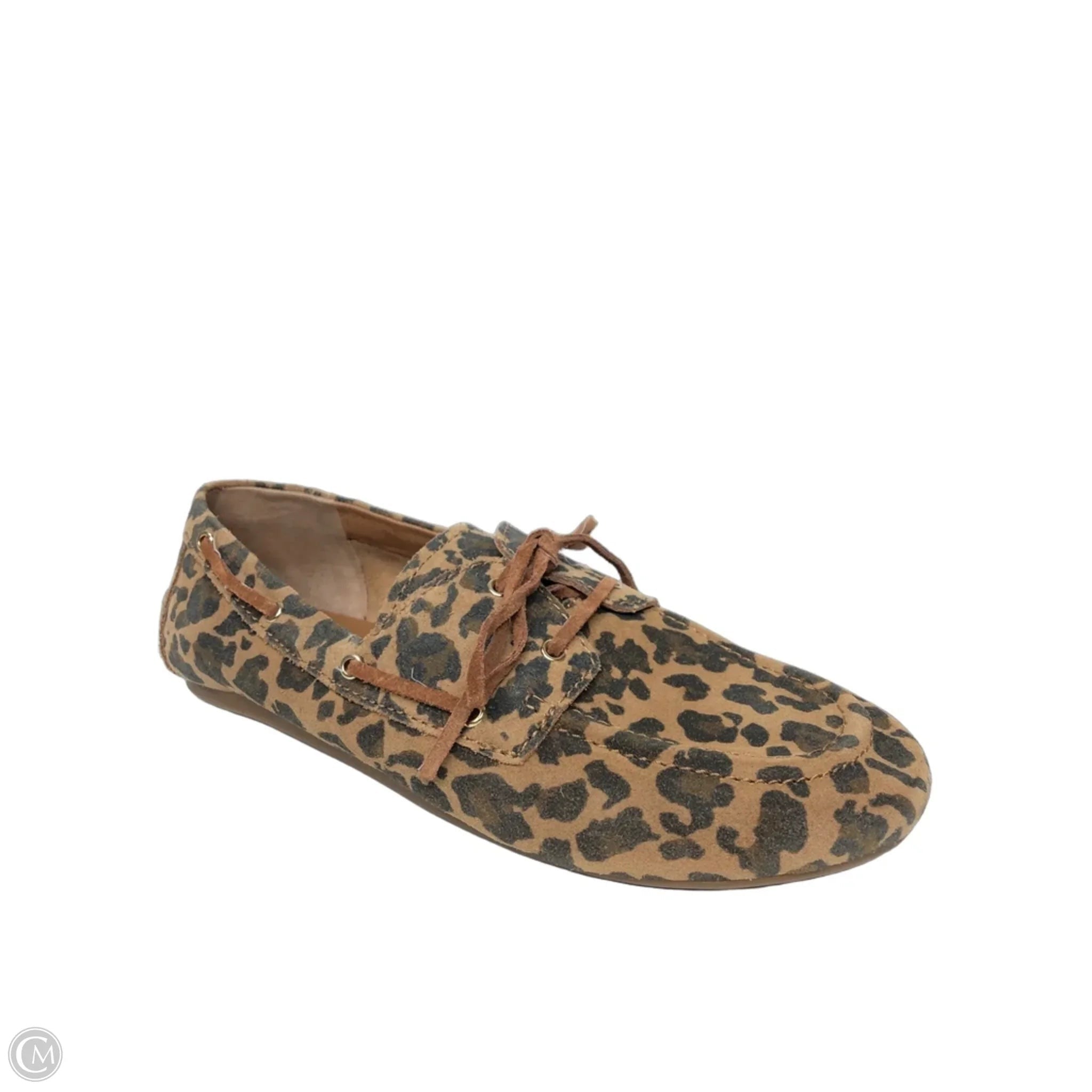 Shoes Flats By Gianni Bini In Leopard Print, Size: 9