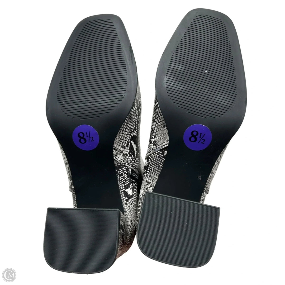 Boots Ankle Heels By Madden Girl In Snakeskin Print, Size: 8.5