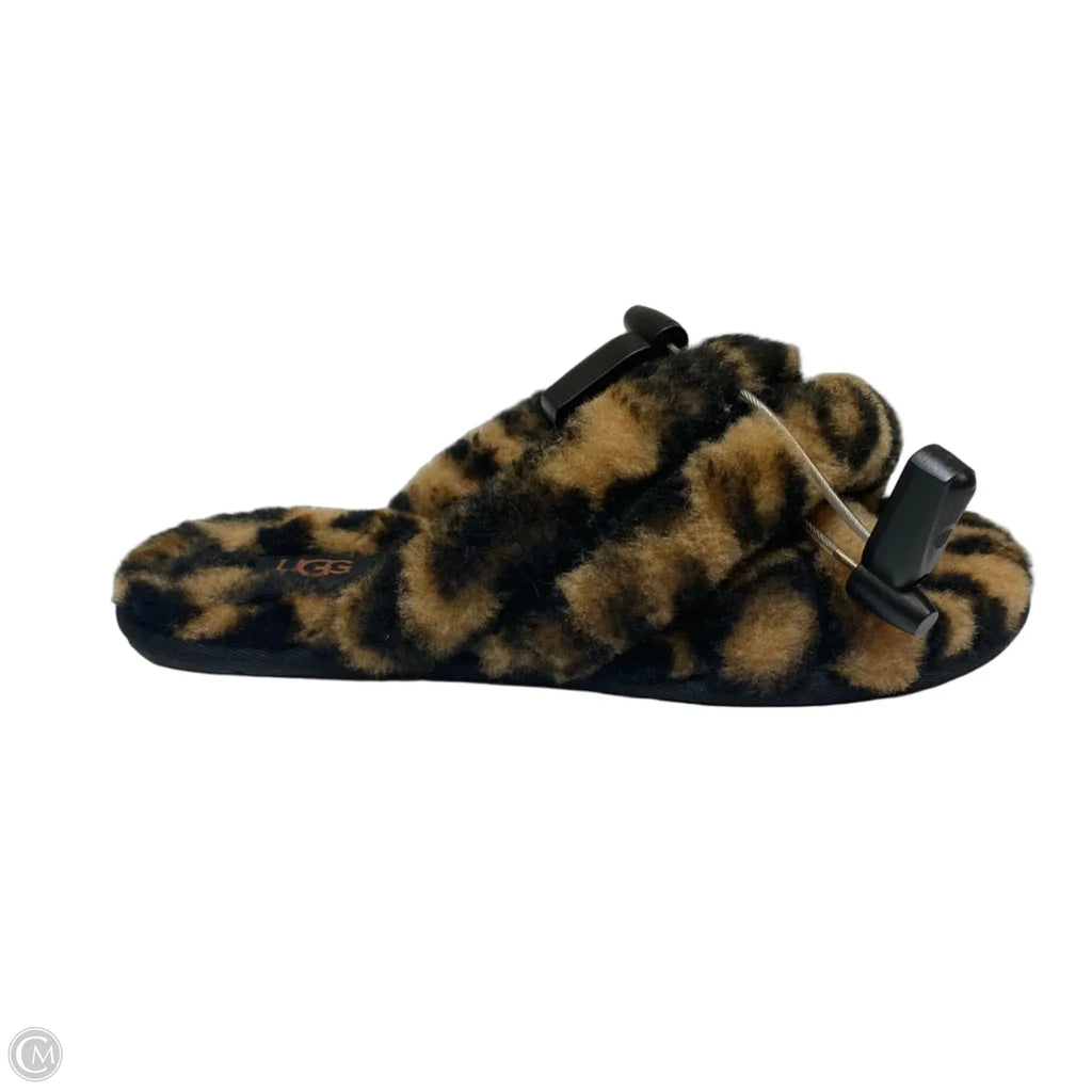 Shoes Designer By Ugg In Black & Brown, Size: 8