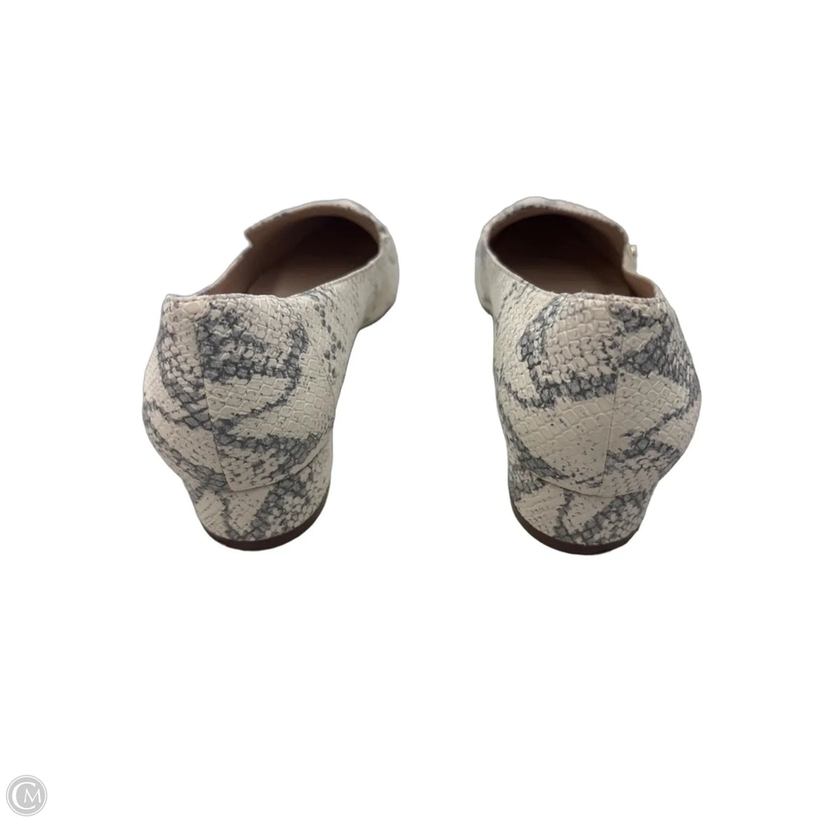 Shoes Flats By Cole-haan In Snakeskin Print, Size: 8.5