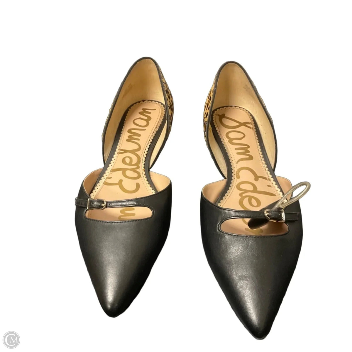 Shoes Flats By Sam Edelman In Animal Print, Size: 9.5