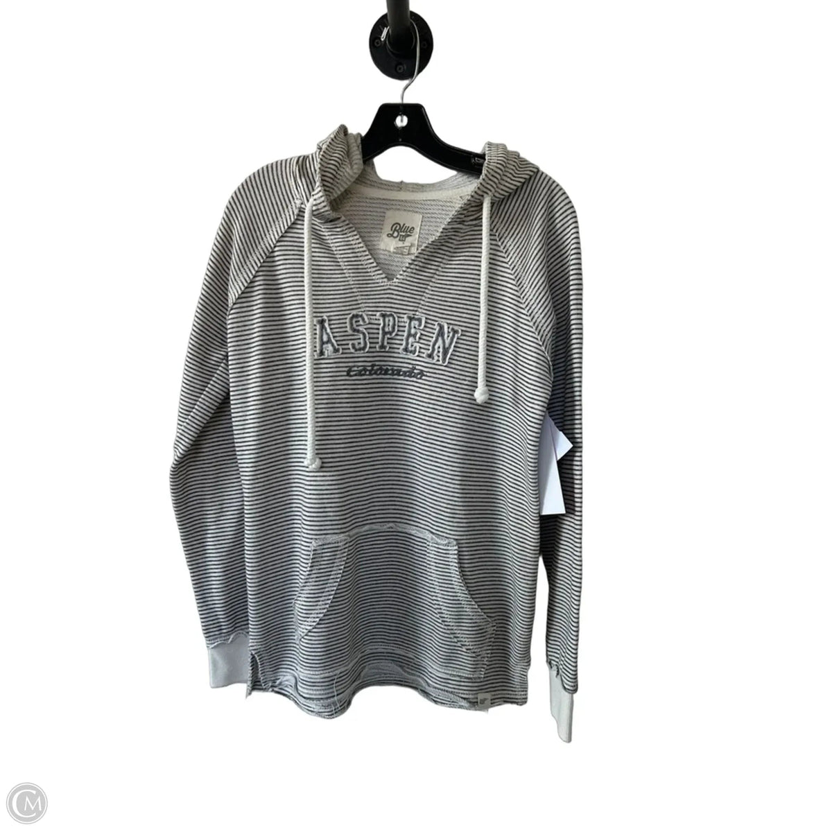 Sweatshirt Hoodie By Blue 84 In Cream & Grey, Size: S