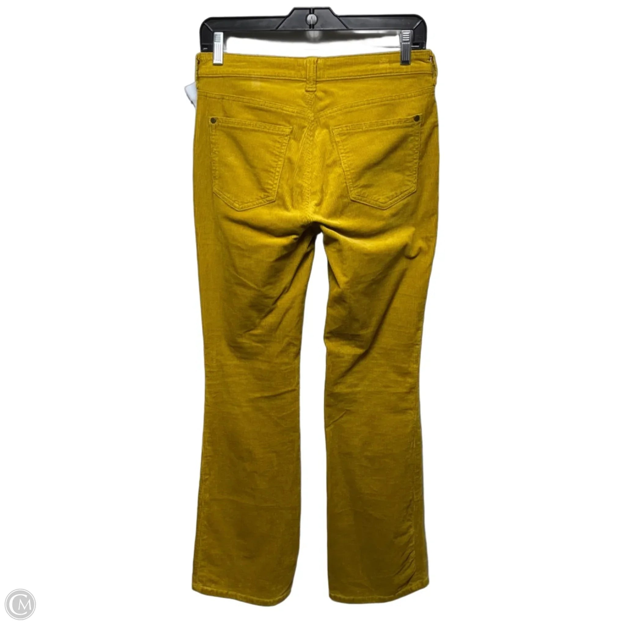 Flared Pants Corduroy By Pilcro In Yellow, Size: 2/26