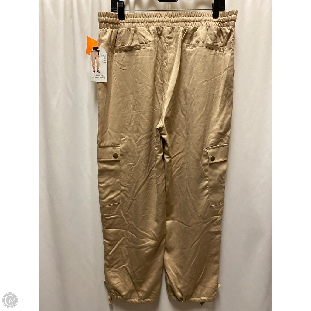 Pants Other By Time And Tru In Beige, Size: L