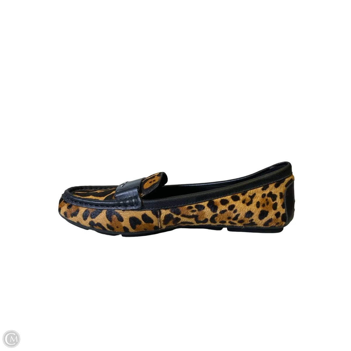 Shoes Flats By Calvin Klein In Animal Print, Size: 7.5