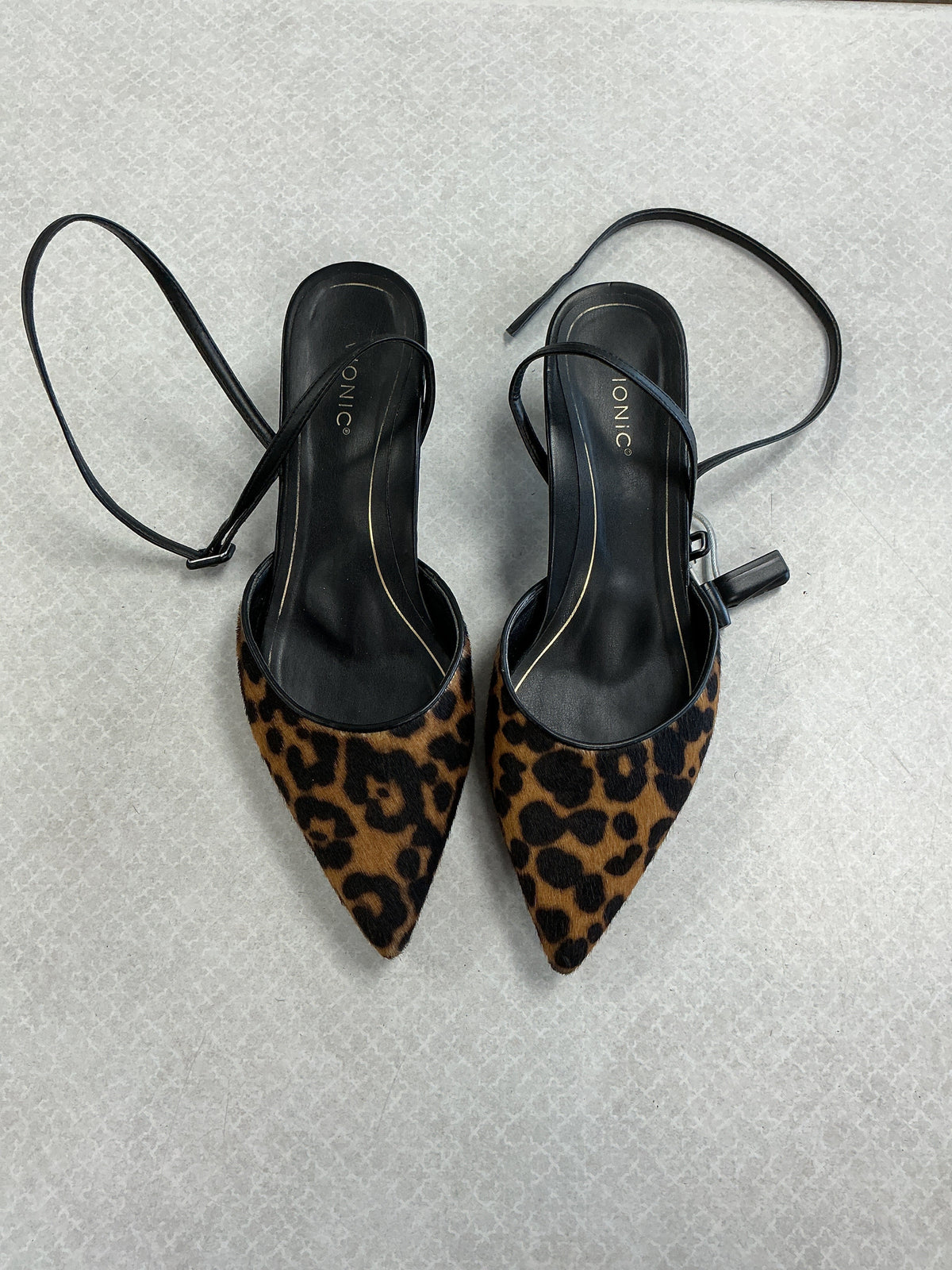 Shoes Heels Kitten By Vionic In Animal Print, Size:10