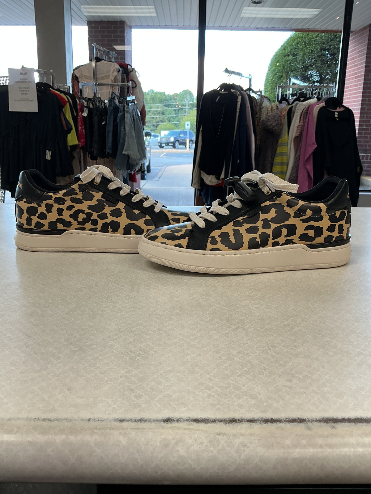 Shoes Designer By Coach In Animal Print, Size:10