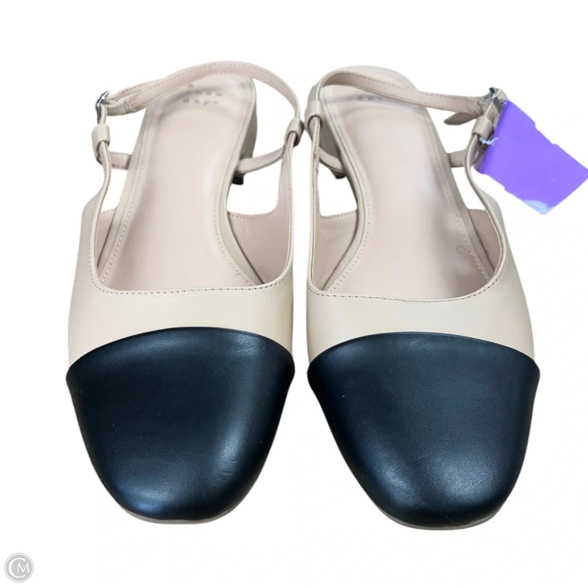 Shoes Flats By A New Day In Black & Cream, Size: 11