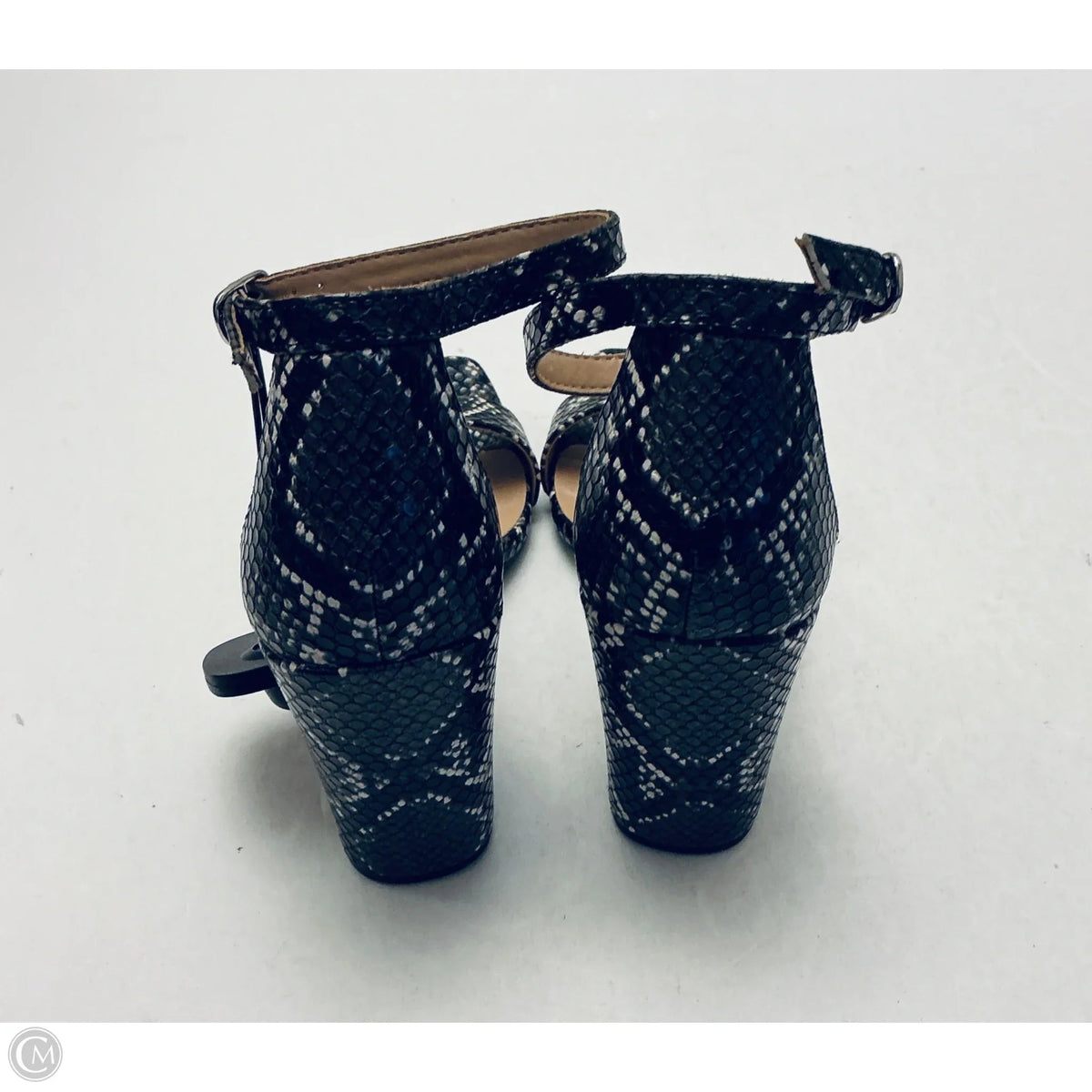 Shoes Heels Block By A New Day In Snakeskin Print, Size: 6.5