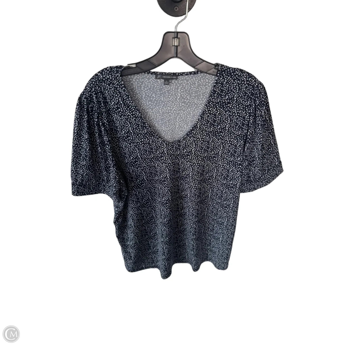Blouse Short Sleeve By Adrianna Papell In Blue & White, Size: L