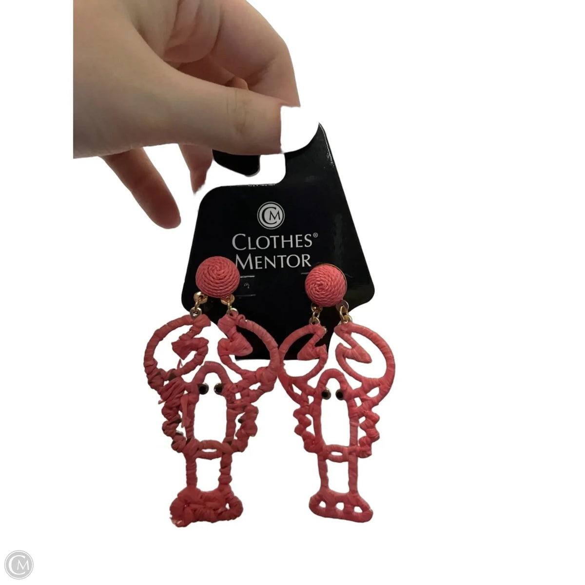 Earrings Dangle/drop By Clothes Mentor