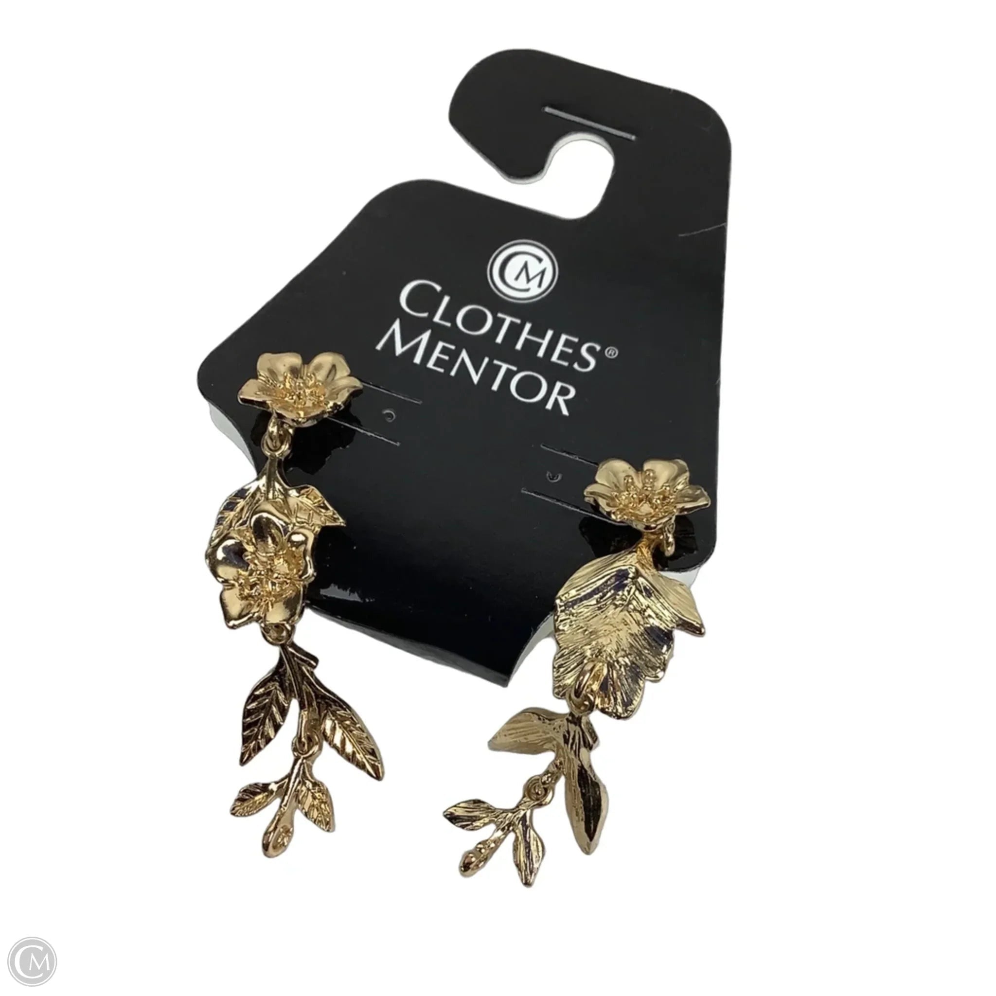 Earrings Dangle/drop By Clothes Mentor