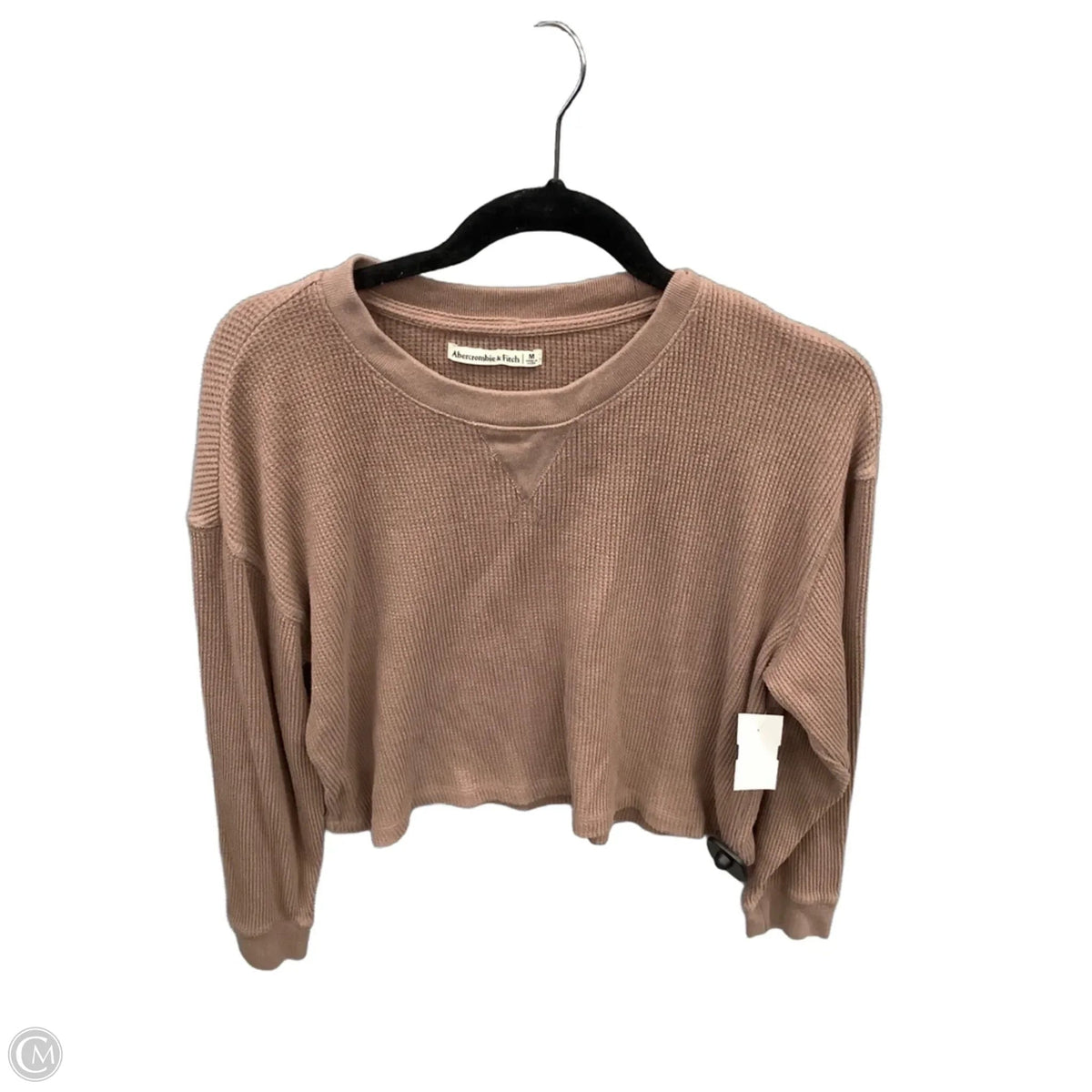 Top Long Sleeve By Abercrombie And Fitch In Brown, Size: M