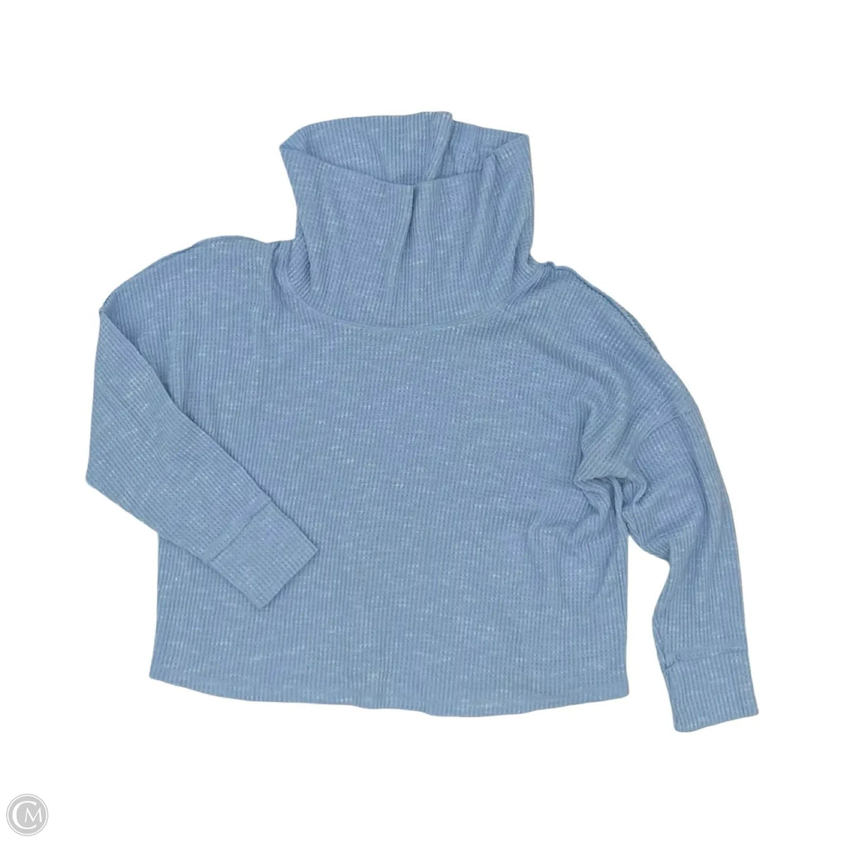 Top Long Sleeve By Te Verde In Blue, Size: 1x